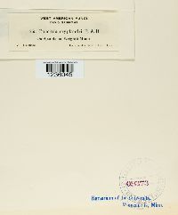 Image Associated With the Occurrence