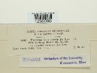 Puccinia cynodontis image