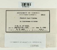 Image Associated With the Occurrence