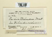 Image Associated With the Occurrence