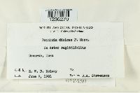 Puccinia dioicae image