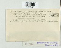 Image Associated With the Occurrence