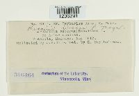 Puccinia dioicae image