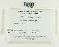 Puccinia dioicae image