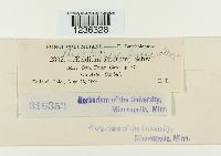 Puccinia dioicae image