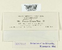 Puccinia ellisiana image