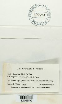 Image Associated With the Occurrence