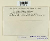 Image Associated With the Occurrence