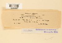 Image Associated With the Occurrence