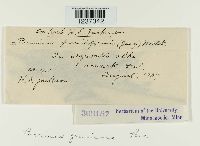 Image Associated With the Occurrence