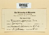 Image Associated With the Occurrence