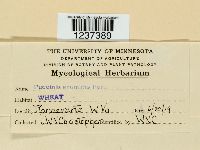 Image Associated With the Occurrence