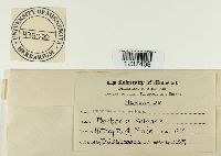 Image Associated With the Occurrence