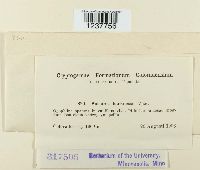 Image Associated With the Occurrence