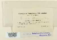 Puccinia harknessii image