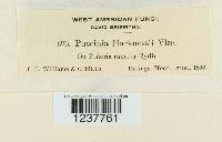 Puccinia harknessii image