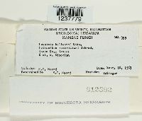 Image Associated With the Occurrence