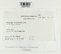 Image Associated With the Occurrence