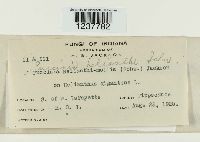 Image Associated With the Occurrence