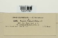 Image Associated With the Occurrence