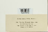 Image Associated With the Occurrence