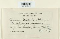 Image Associated With the Occurrence