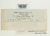 Image Associated With the Occurrence