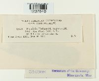 Image Associated With the Occurrence