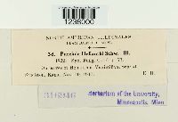 Puccinia helianthi image