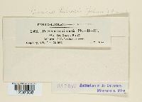 Thumbnail image of current specimen