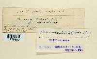 thumbnail image of current specimen