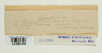Thumbnail image of current specimen