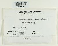 thumbnail image of current specimen