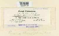 thumbnail image of current specimen