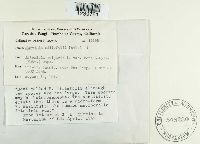 Puccinia cnici-oleracei image