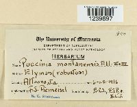 Image Associated With the Occurrence