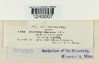 Puccinia obscura image