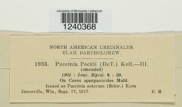 Puccinia peckii image