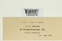 Puccinia peckii image