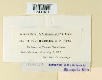 Puccinia porphyrogenita image