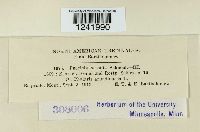 Puccinia sessilis image