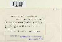 Puccinia sessilis image