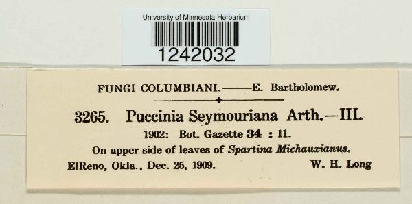 Puccinia seymouriana image