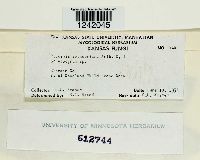 Puccinia seymouriana image