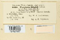 Image Associated With the Occurrence