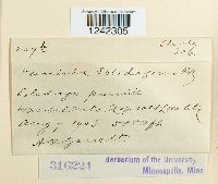 Image Associated With the Occurrence