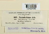 Puccinia stipae image