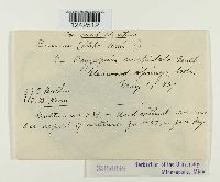 Puccinia stipae image