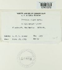 Image Associated With the Occurrence