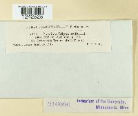 Puccinia stipae image